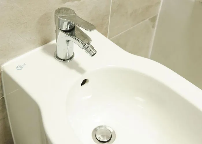 Alternativ 1 Timisoara