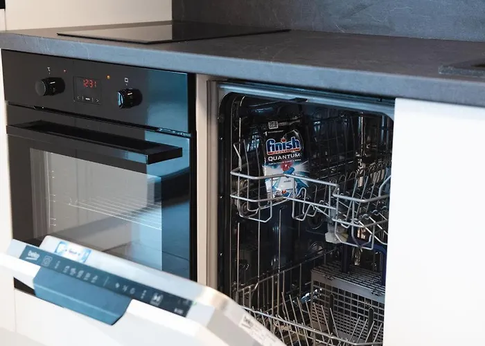 Alternativ 1 Temesvár