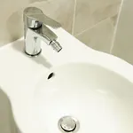 Alternativ 1 טימישוארה