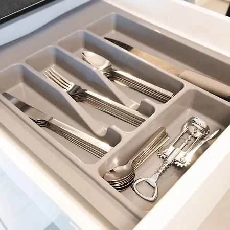 Alternativ 1 Timisoara