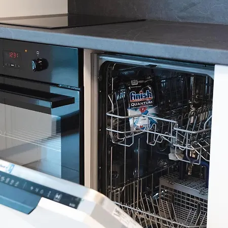 Alternativ 1 Timisoara