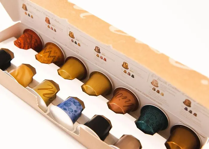 Alternativ 1 Timisoara