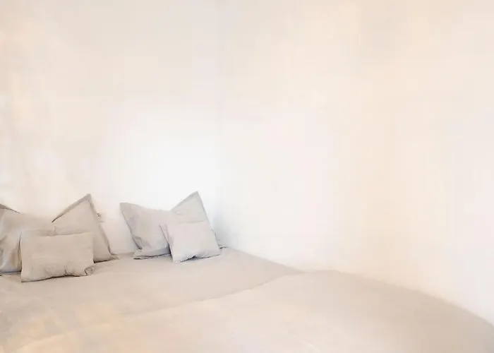 Alternativ 1 * Timisoara